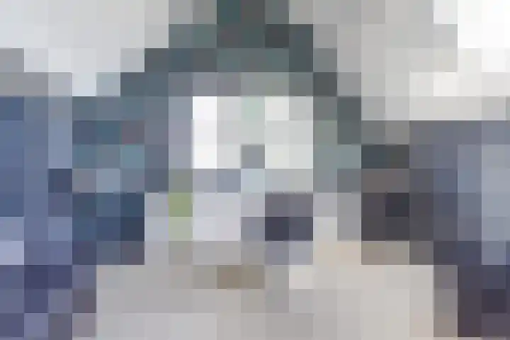 's-Gravenpolderseweg 102 C Goes thumbnail 40
