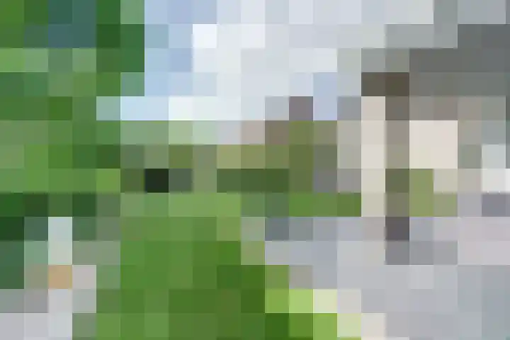 's-Gravenpolderseweg 102 C Goes thumbnail 47