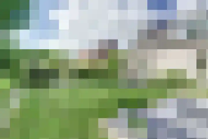 's-Gravenpolderseweg 102 C Goes thumbnail 48