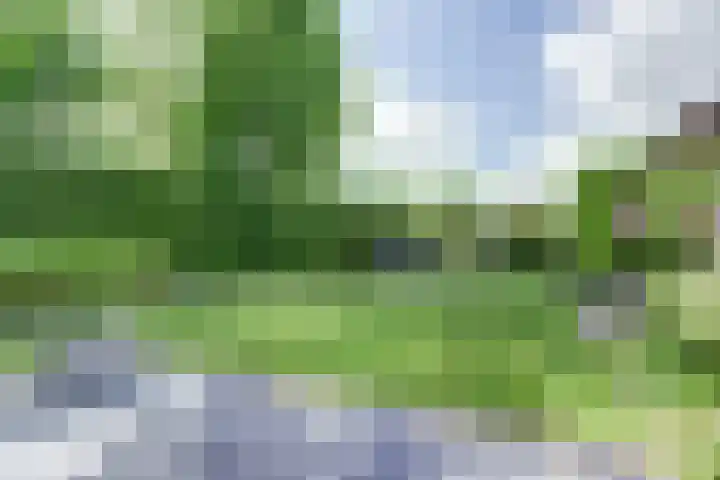 's-Gravenpolderseweg 102 C Goes thumbnail 49