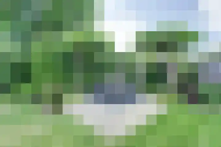 's-Gravenpolderseweg 102 C Goes thumbnail 50