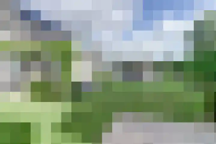 's-Gravenpolderseweg 102 C Goes thumbnail 51