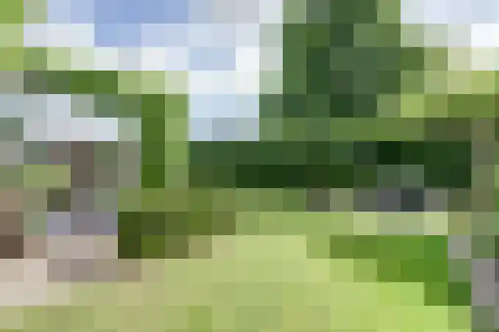 's-Gravenpolderseweg 102 C Goes thumbnail 52