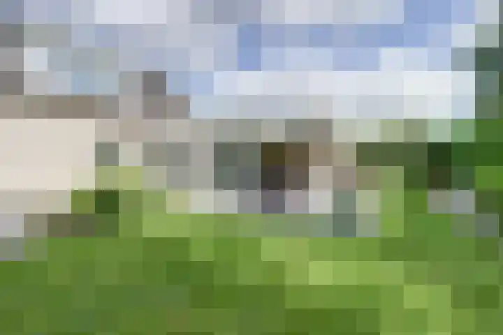 's-Gravenpolderseweg 102 C Goes thumbnail 53