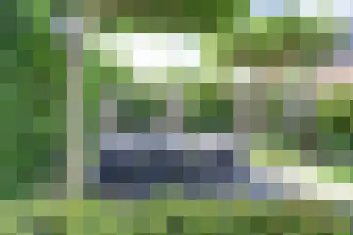 's-Gravenpolderseweg 102 C Goes thumbnail 54