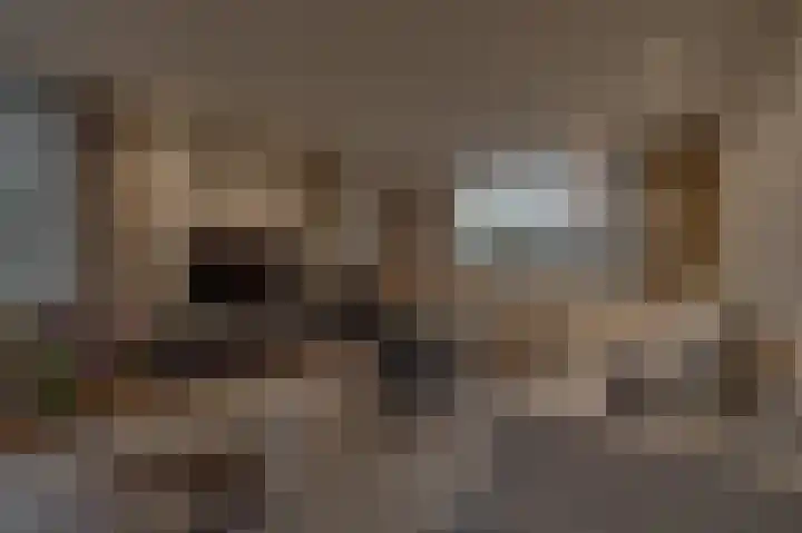 's-Gravenpolderseweg 102 C Goes thumbnail 57