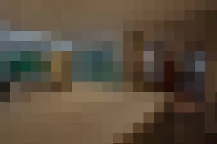 's-Gravenpolderseweg 102 C Goes thumbnail 60