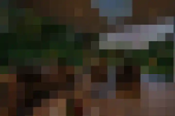 's-Gravenpolderseweg 102 C Goes thumbnail 61