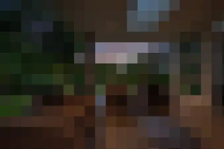's-Gravenpolderseweg 102 C Goes thumbnail 62