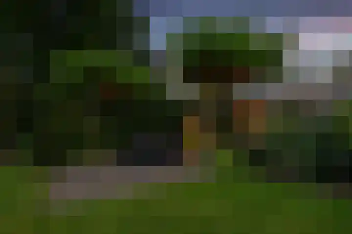 's-Gravenpolderseweg 102 C Goes thumbnail 63