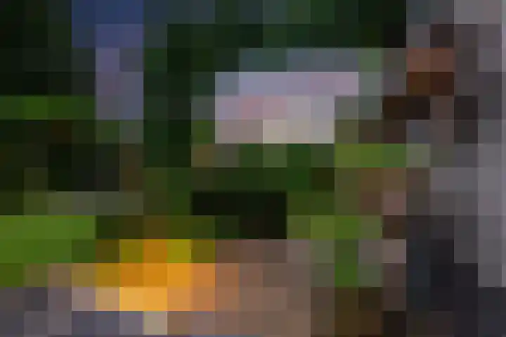 's-Gravenpolderseweg 102 C Goes thumbnail 64
