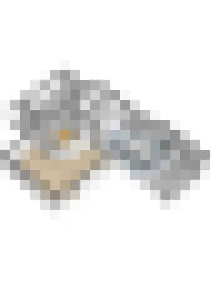 's-Gravenpolderseweg 102 C Goes thumbnail 68