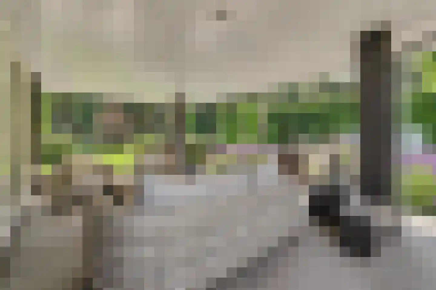 's-Gravenpolderseweg 112 Goes thumbnail 11