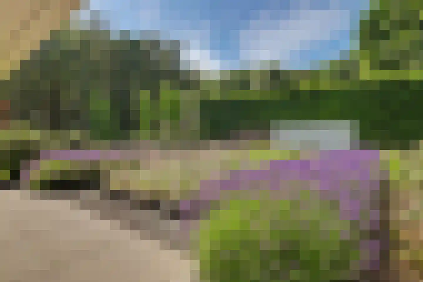 's-Gravenpolderseweg 112 Goes thumbnail 12