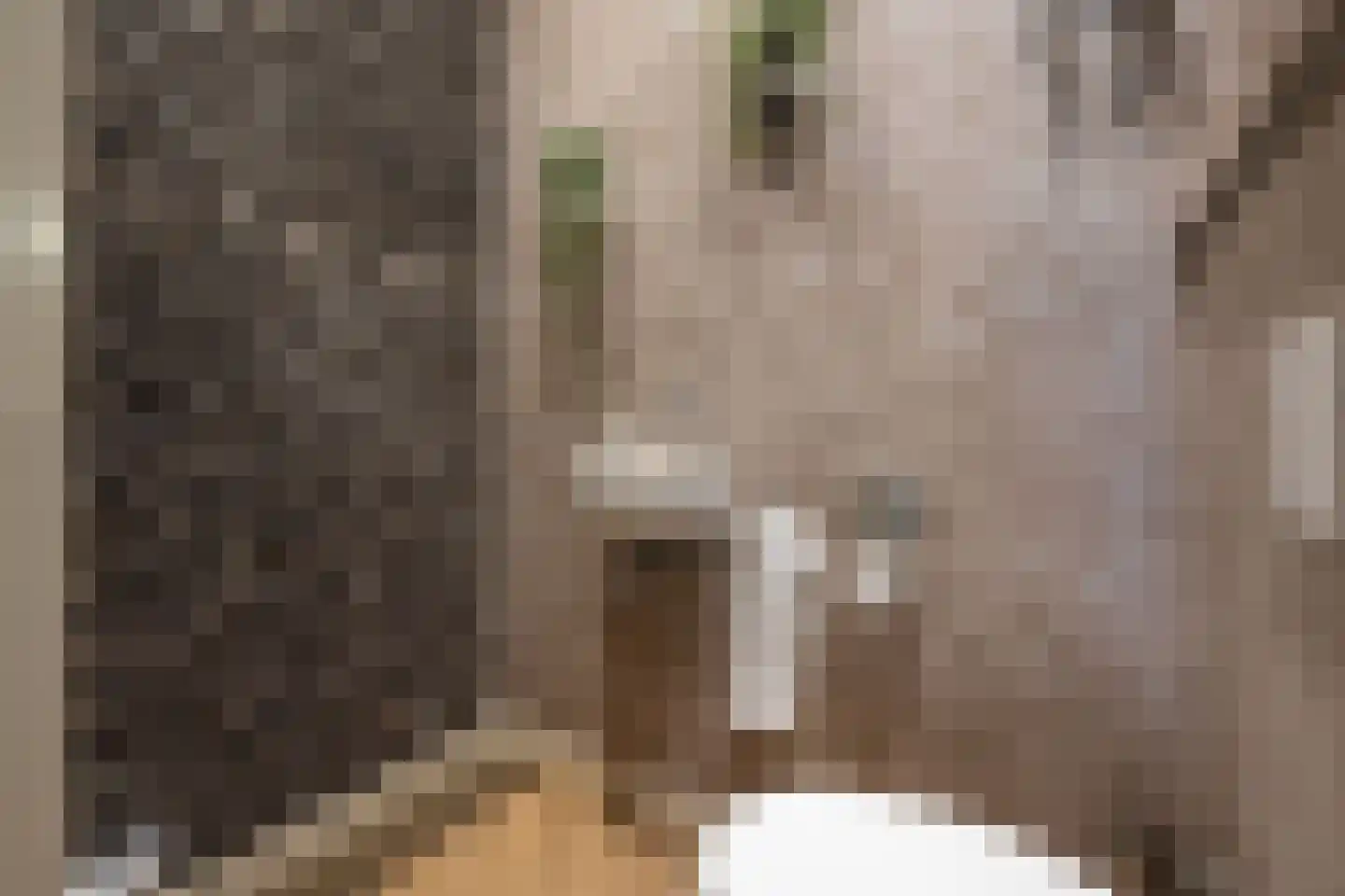 's-Gravenpolderseweg 112 Goes thumbnail 14