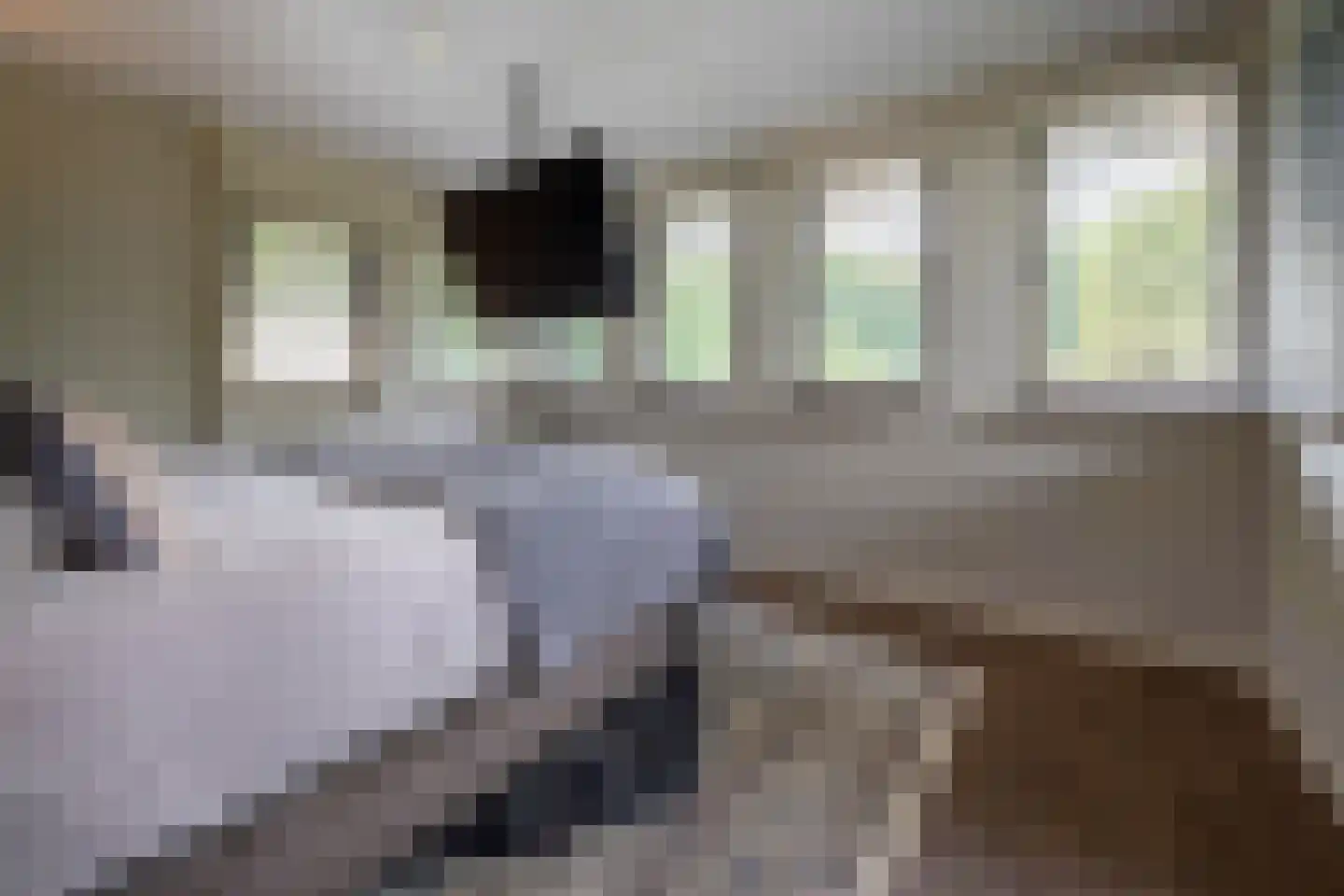 's-Gravenpolderseweg 112 Goes thumbnail 16