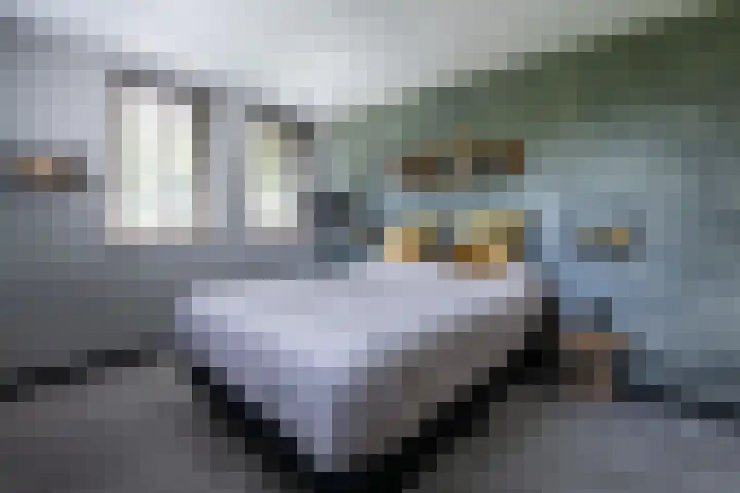 's-Gravenpolderseweg 112 Goes thumbnail 20