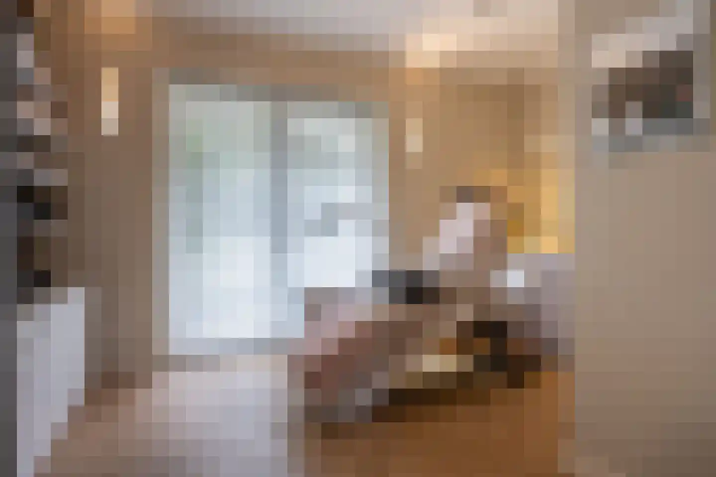 's-Gravenpolderseweg 112 Goes thumbnail 23