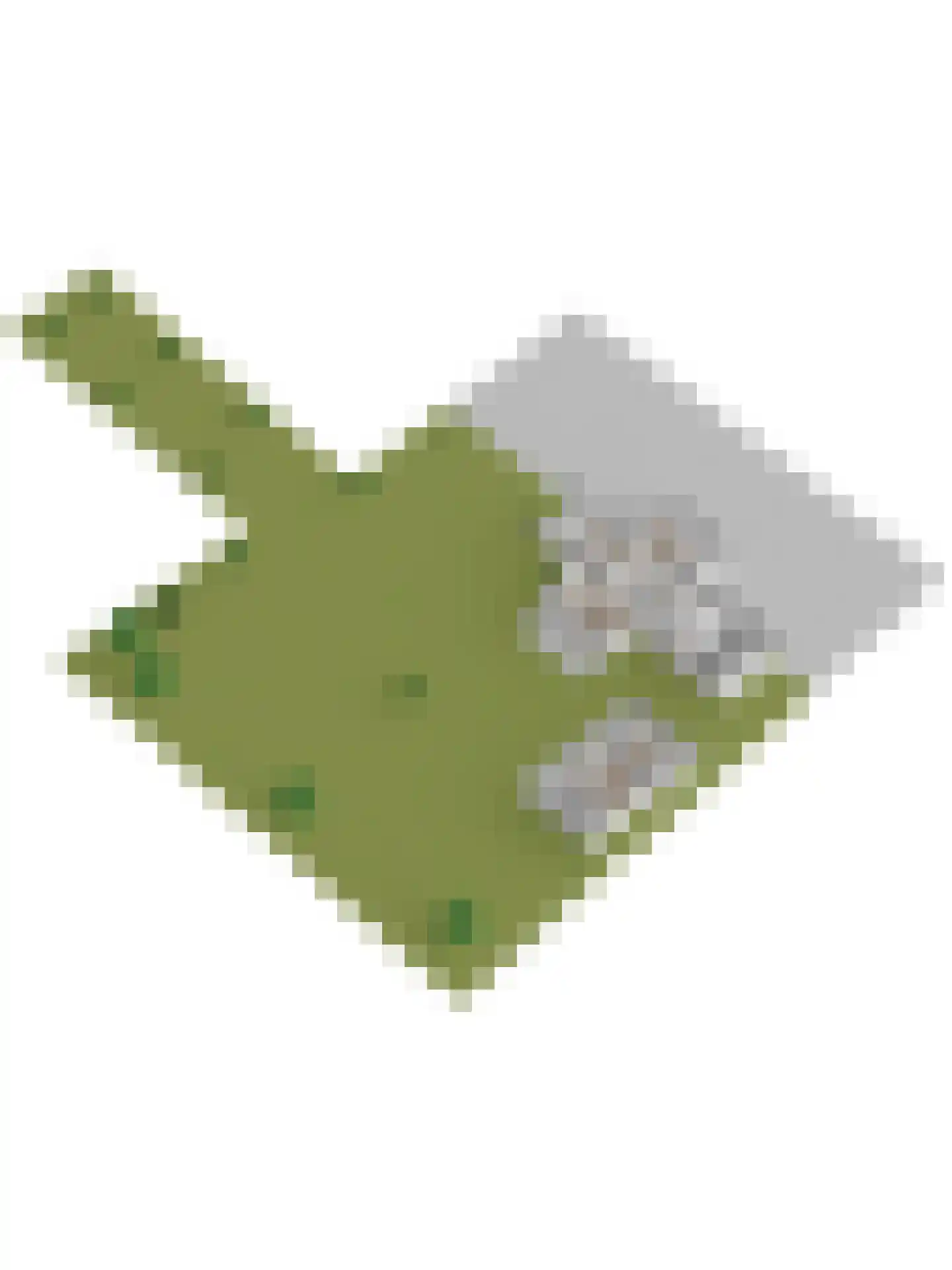 's-Gravenpolderseweg 112 Goes thumbnail 41