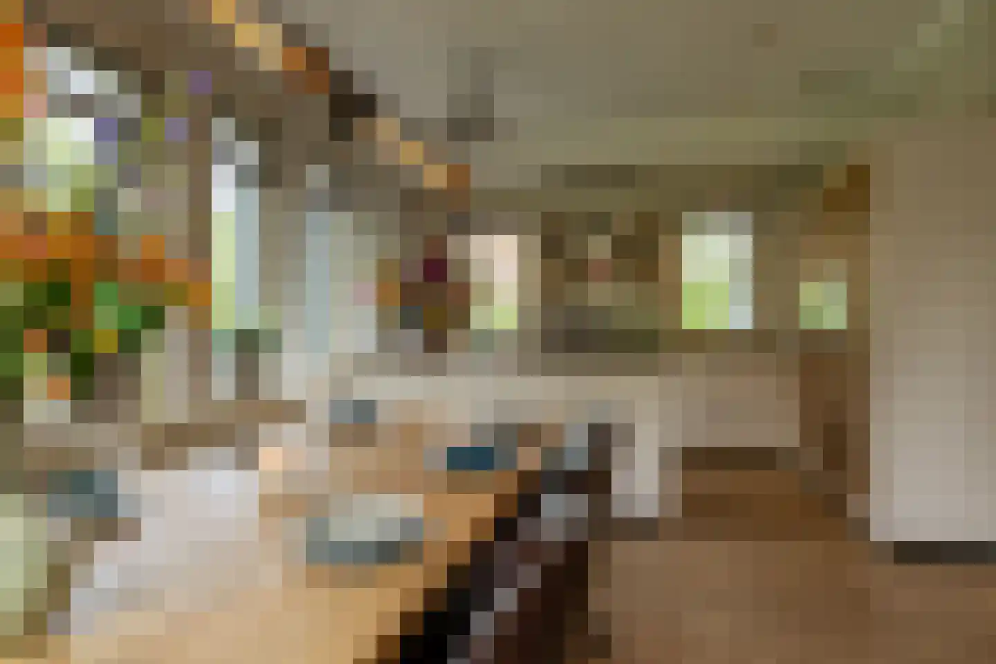 's-Gravenpolderseweg 112 Goes thumbnail 8