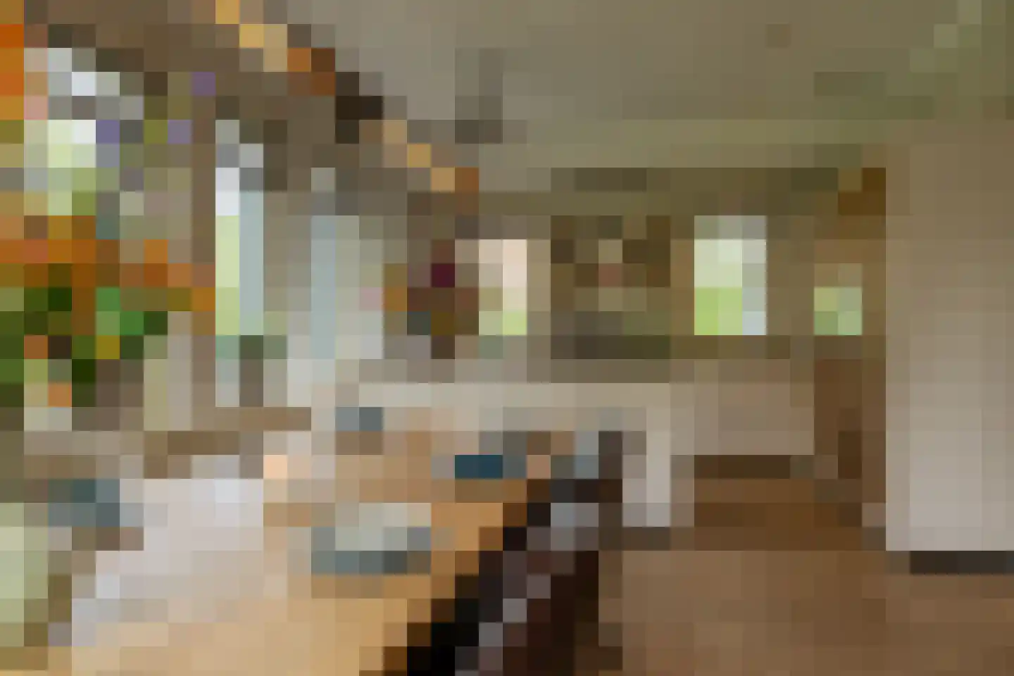 's-Gravenpolderseweg 112 Goes thumbnail 9