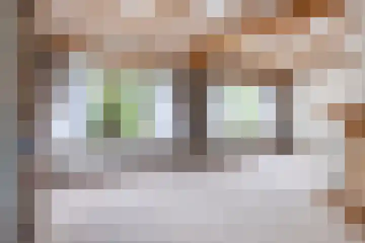 's-Gravenpolderseweg 13 Goes thumbnail 11