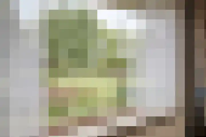's-Gravenpolderseweg 13 Goes thumbnail 12
