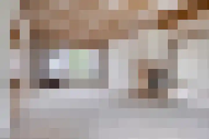 's-Gravenpolderseweg 13 Goes thumbnail 14