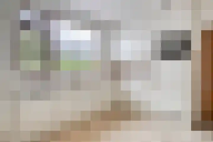 's-Gravenpolderseweg 13 Goes thumbnail 17