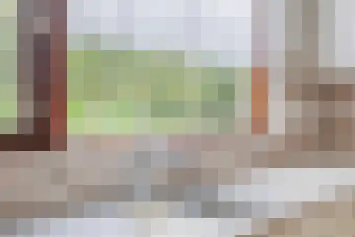 's-Gravenpolderseweg 13 Goes thumbnail 19