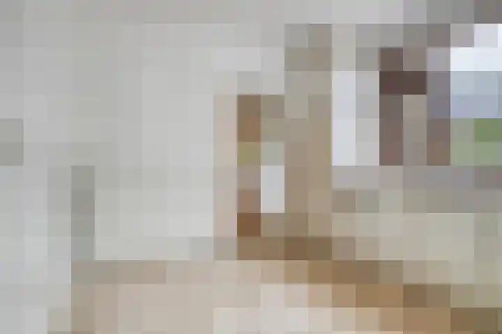 's-Gravenpolderseweg 13 Goes thumbnail 20