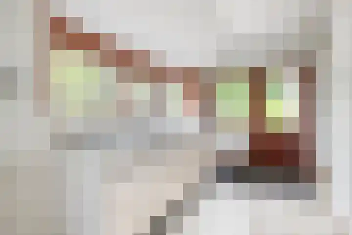 's-Gravenpolderseweg 13 Goes thumbnail 23