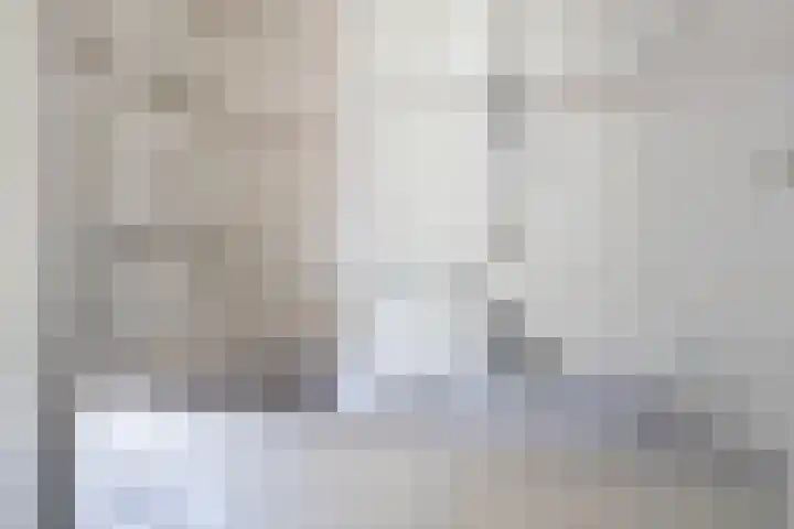 's-Gravenpolderseweg 13 Goes thumbnail 30