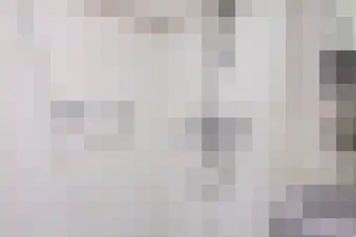 's-Gravenpolderseweg 13 Goes thumbnail 32