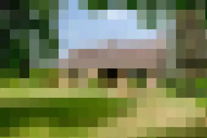 's-Gravenpolderseweg 13 Goes thumbnail 4