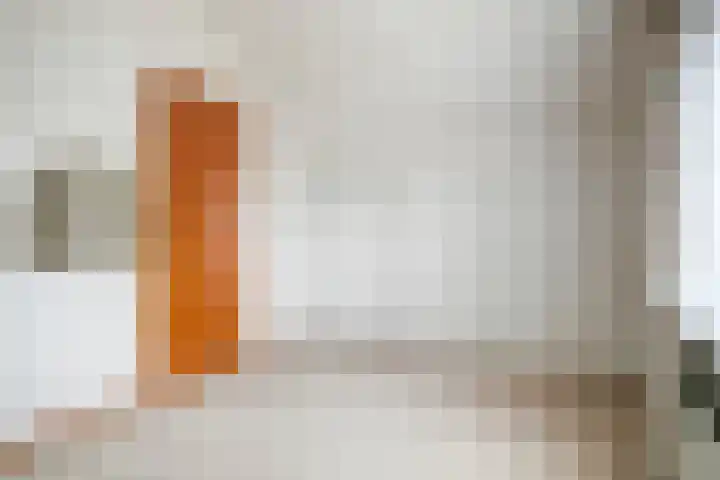's-Gravenpolderseweg 13 Goes thumbnail 41