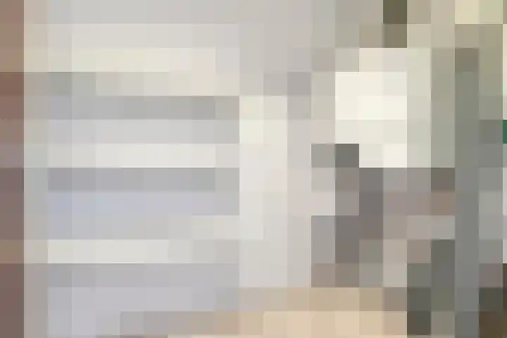 's-Gravenpolderseweg 13 Goes thumbnail 46