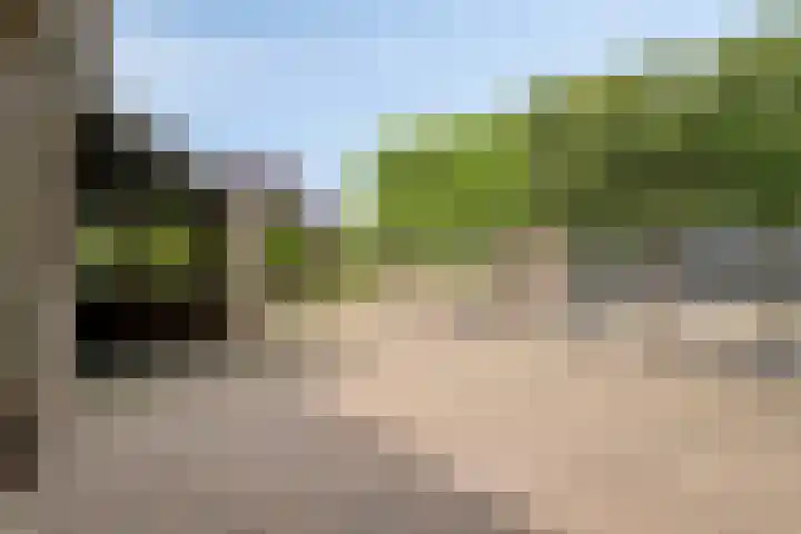 's-Gravenpolderseweg 13 Goes thumbnail 47