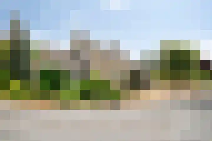 's-Gravenpolderseweg 13 Goes thumbnail 49