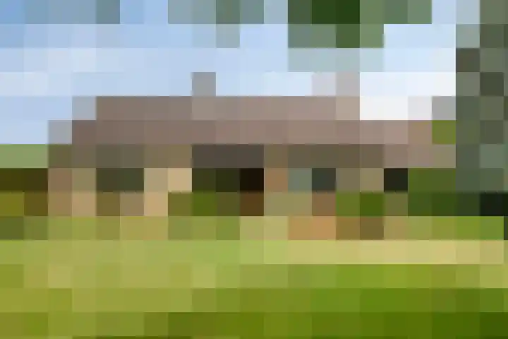 's-Gravenpolderseweg 13 Goes thumbnail 5