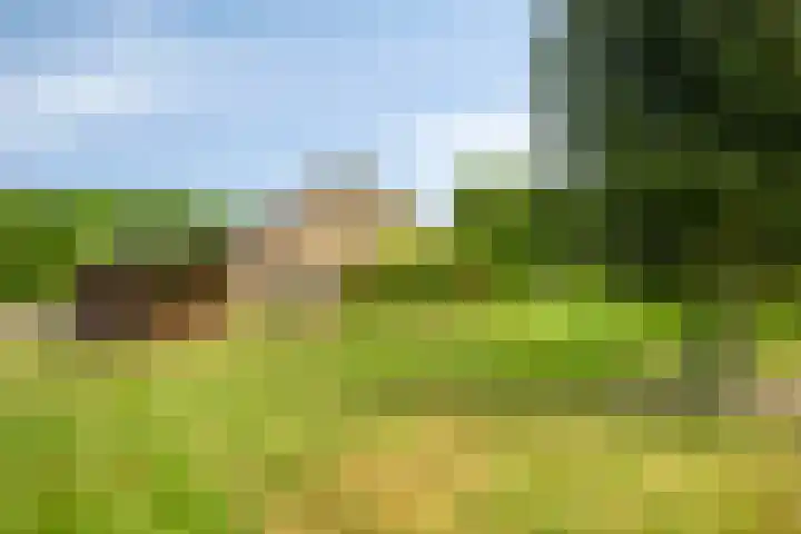 's-Gravenpolderseweg 13 Goes thumbnail 50