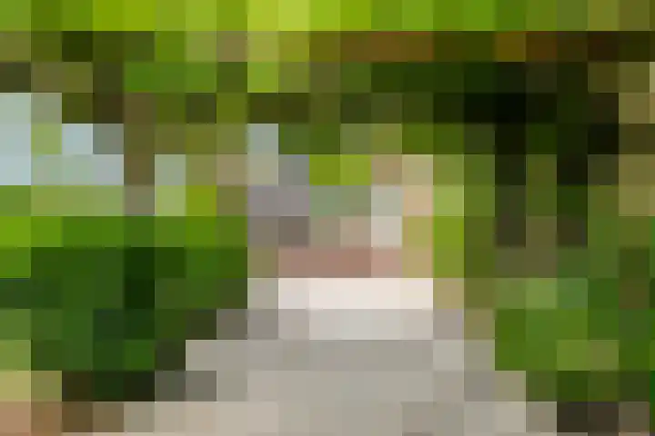 's-Gravenpolderseweg 13 Goes thumbnail 51