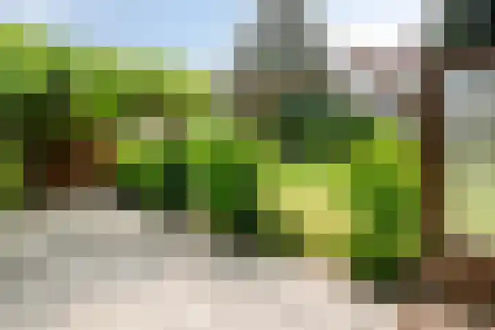 's-Gravenpolderseweg 13 Goes thumbnail 52