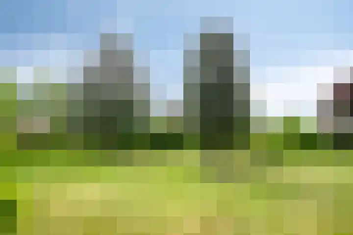 's-Gravenpolderseweg 13 Goes thumbnail 53