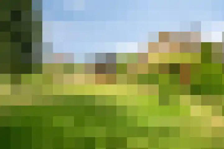 's-Gravenpolderseweg 13 Goes thumbnail 54