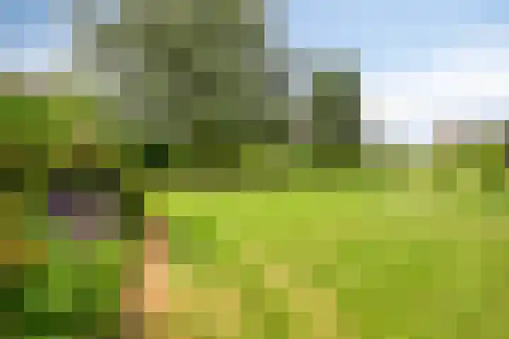 's-Gravenpolderseweg 13 Goes thumbnail 55