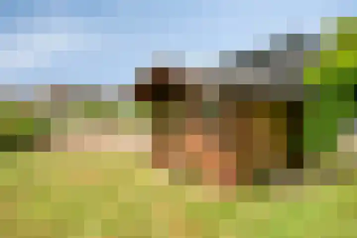 's-Gravenpolderseweg 13 Goes thumbnail 56