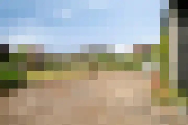 's-Gravenpolderseweg 13 Goes thumbnail 57