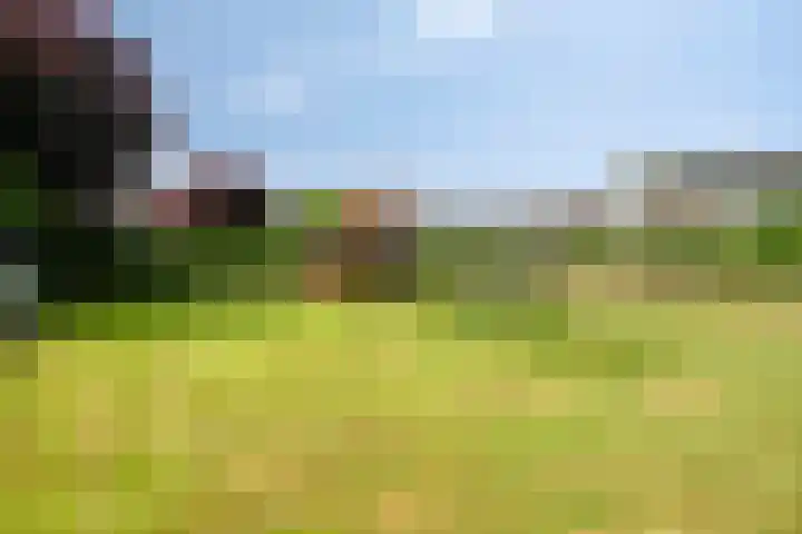 's-Gravenpolderseweg 13 Goes thumbnail 58