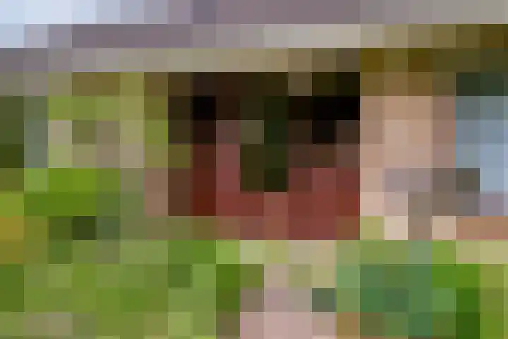 's-Gravenpolderseweg 13 Goes thumbnail 6